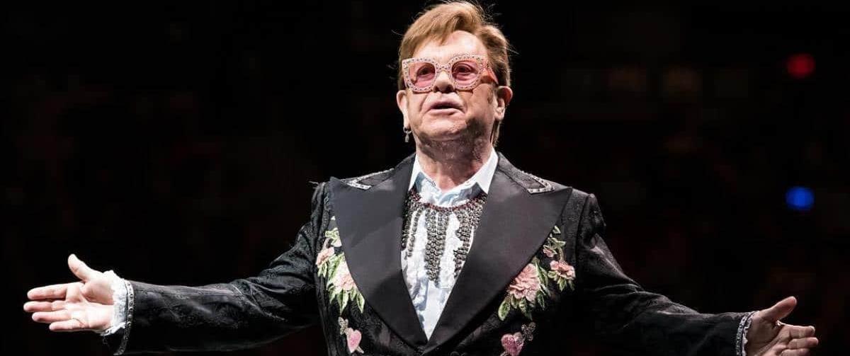 4148402355539348 cats