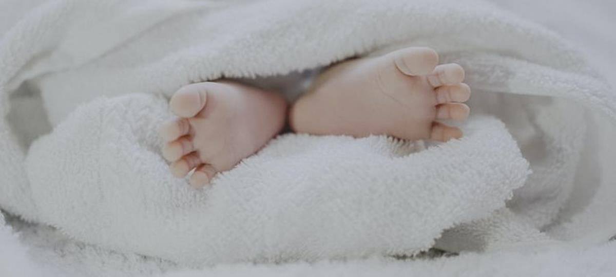 4148627243138297 b photo 1555252333 9f8e92e65df9