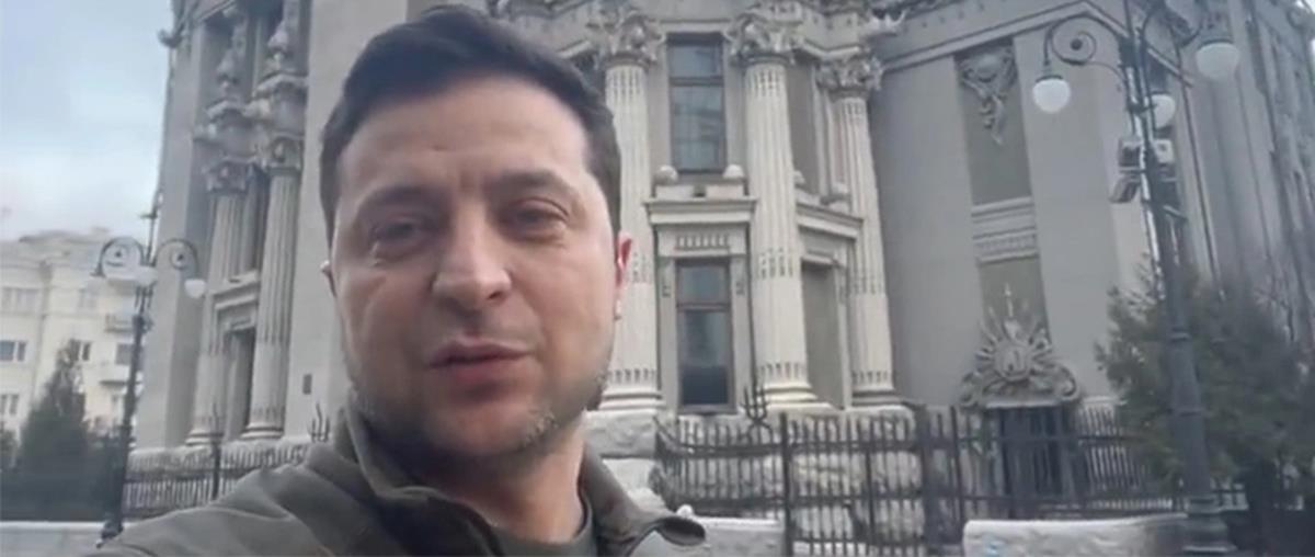 4150953066700597 cats