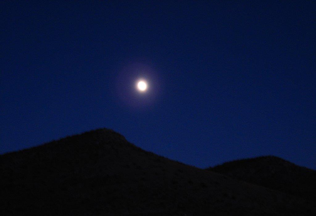 ΠΑΝΣΕΛΗΝΟΣ ΛΕΜΕΣΟΣ