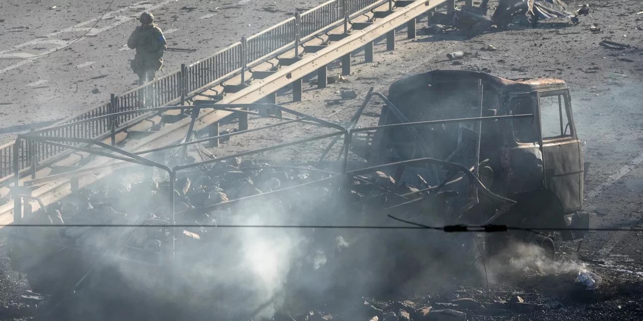 4153503531026622 image