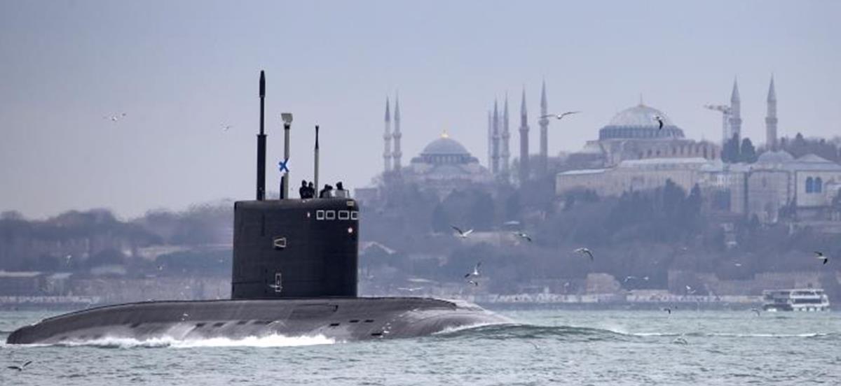 4153701917562774 imagew (5)