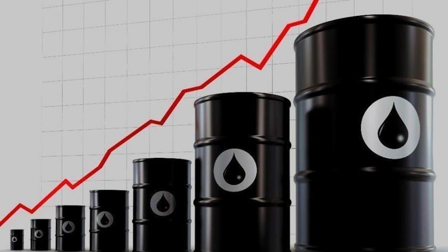 4154391053903702 petrelaio anodos timon