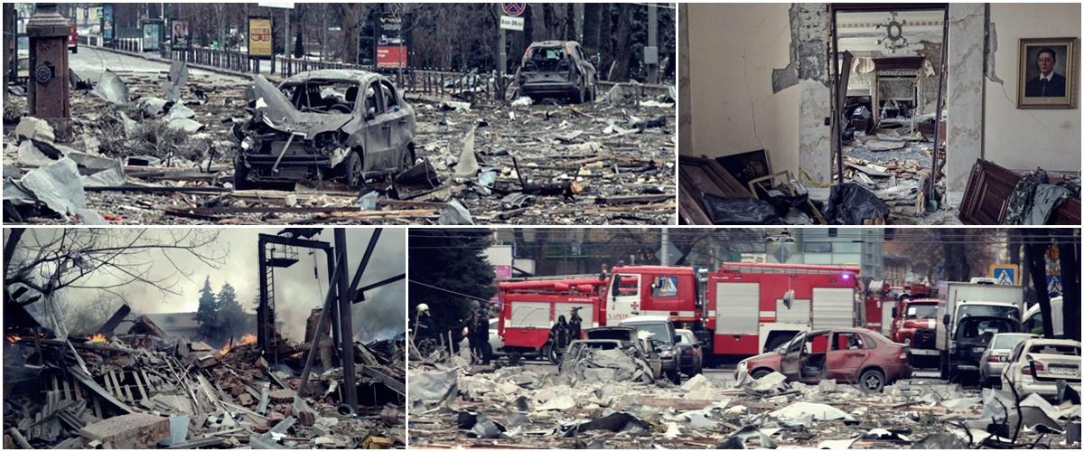 4154478520399551 cats