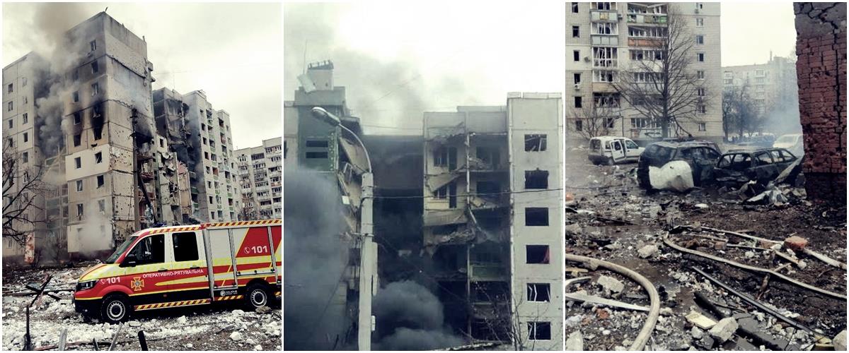 4155647283032615 cats