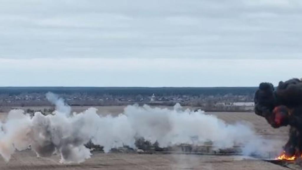 4157151305661448 image