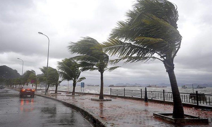 4161608462543562 image