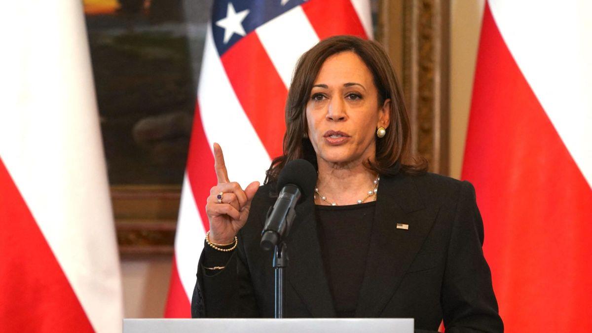 4161615093323562 image