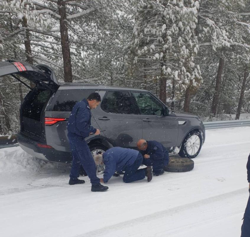 4164345199878575 image