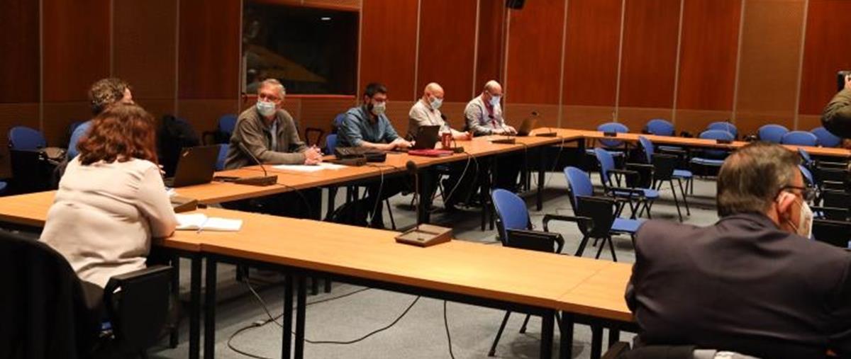 4164895596326462 imagew (1)