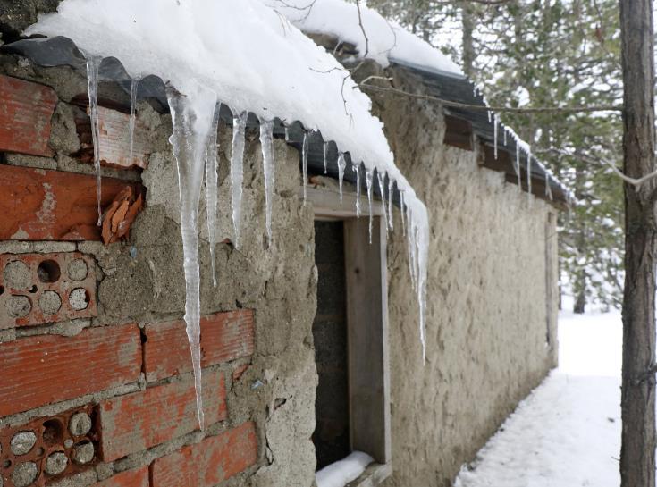 4165035499008424 image