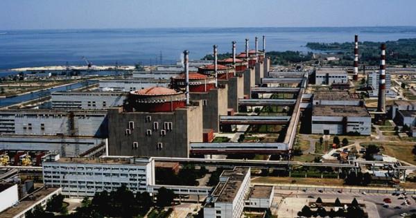 4165159063523124 image