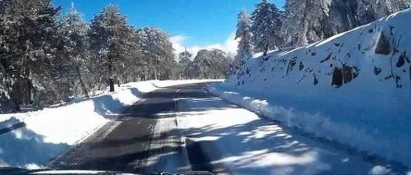 4165161925031124 image