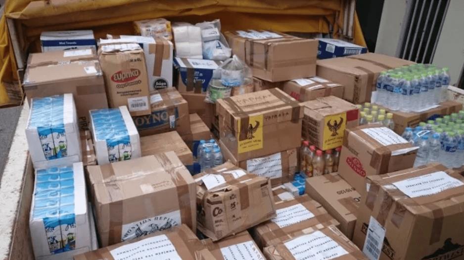 4169233617550300 image