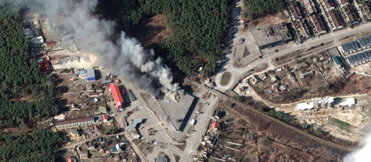 4169416169469695 599