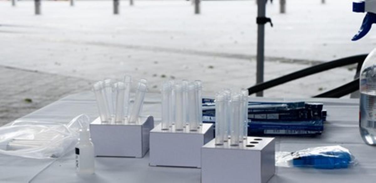 4172684071864071 Rapid test cover1