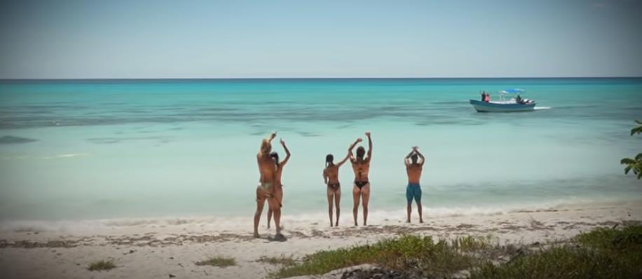 4176098550519880 image