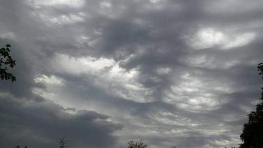 4177698159245755 cache 846x3000 Analog medium 896181 44413 13122021