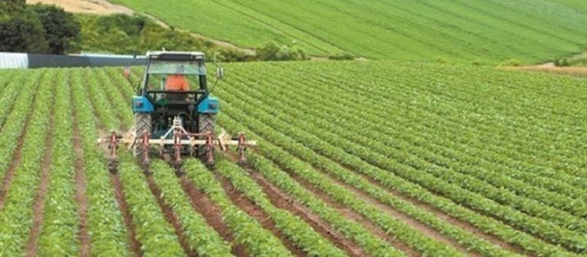 4178880818994520 agrotikos-tomeas-768x480