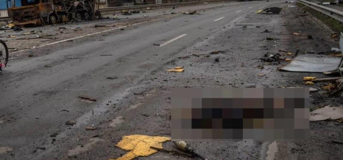 4182421253627824 45b06fcd9bbe443fbe4d4cb504bd1c61 L