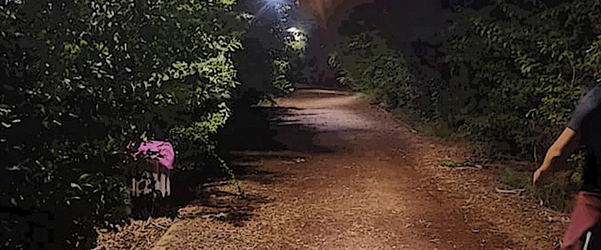 4184008954864675 image