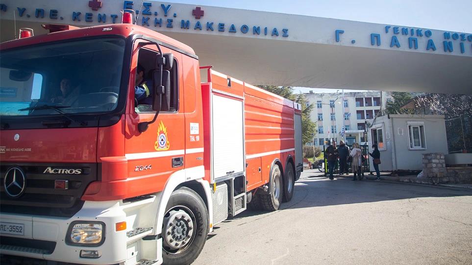 4185492497252117 image