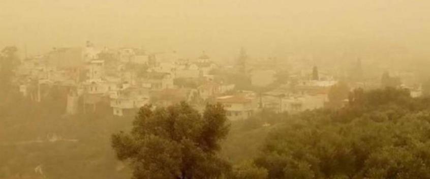 4185509528310956 cache 846x3000 Analog medium 937884 39242 342022