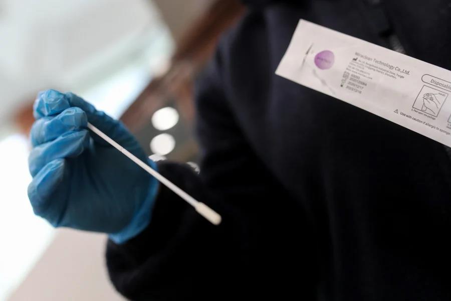 4185757646486286 image