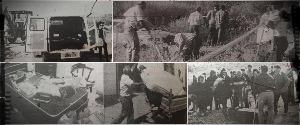 4186637320335773 cats