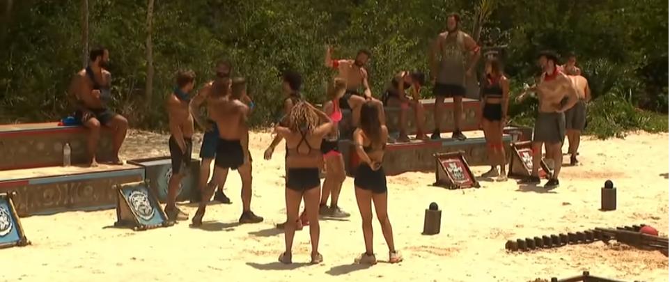 4188126272617353 image