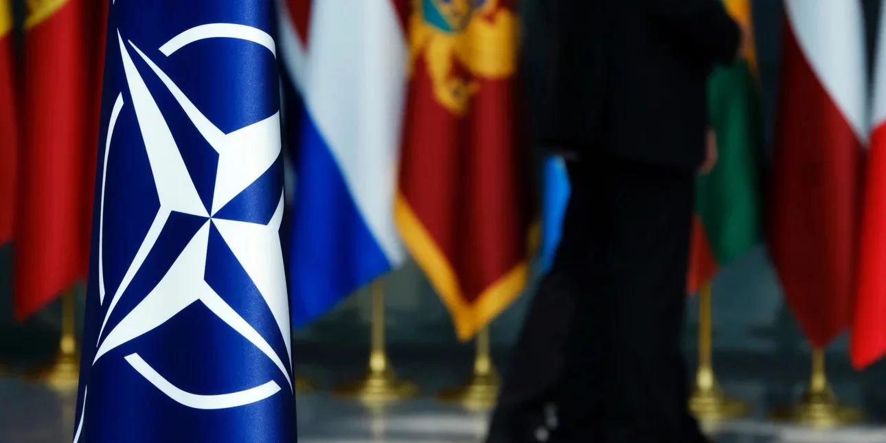 4188982477966532 image