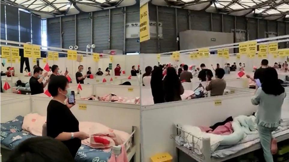 4190320501746534 image