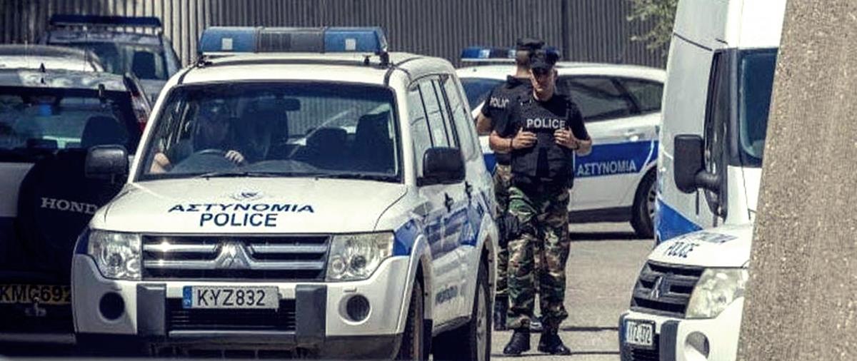 4191064634599530 cats