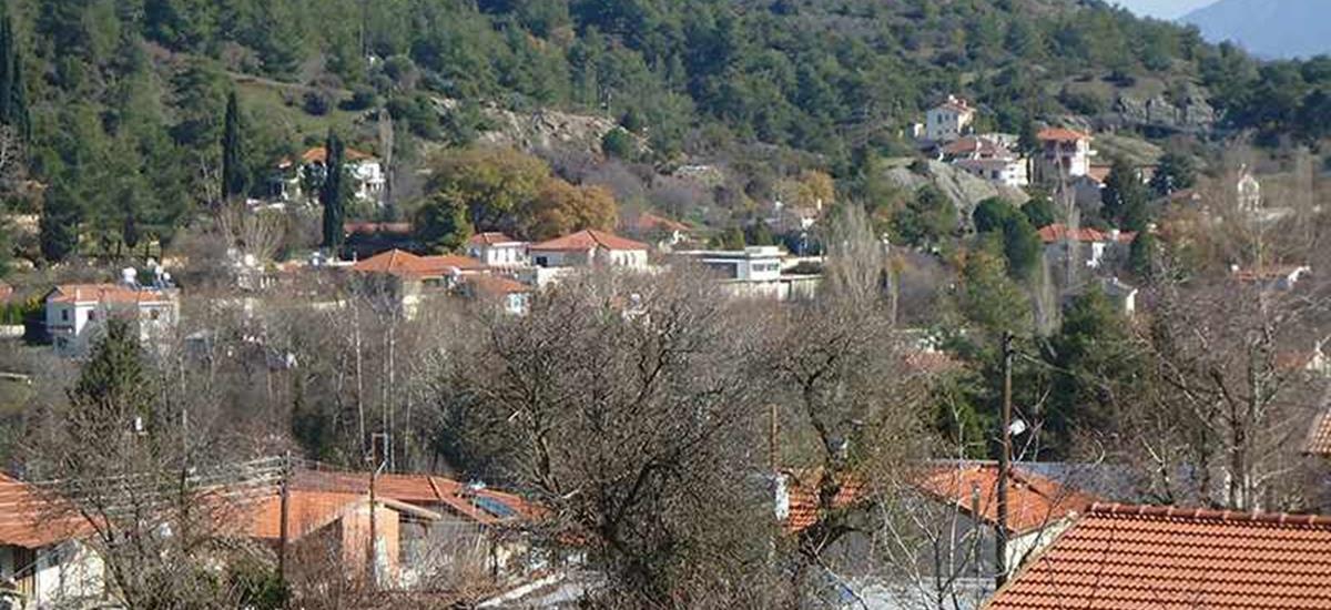 4191877892726963 pera-pedijpg0