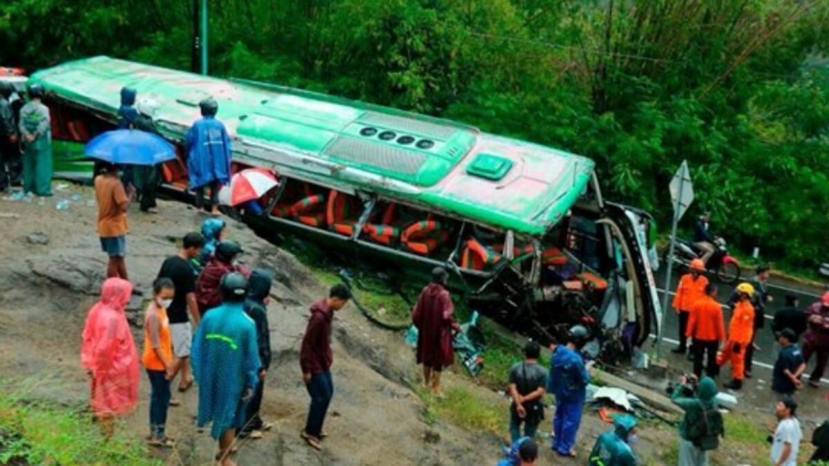 4192775224158019 image