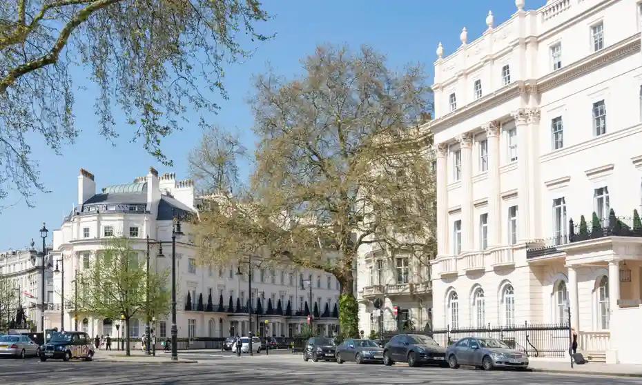 4192888832943449 image