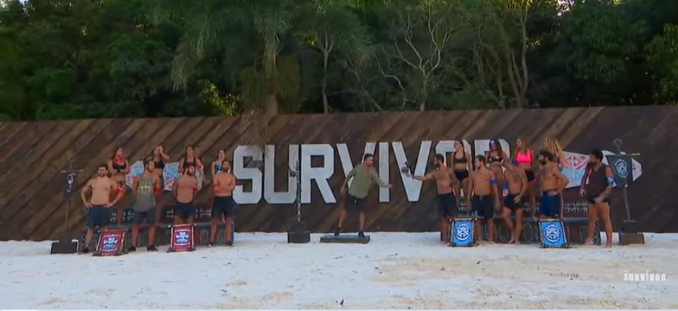 4195024466746956 image