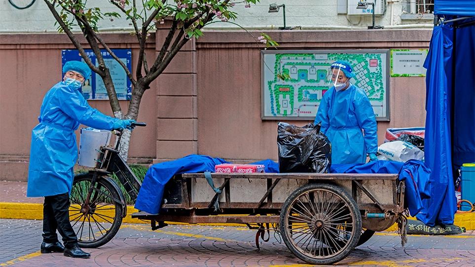 4195375261362469 image