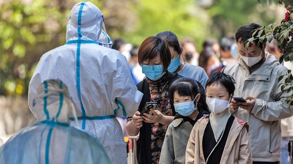 4195881047123337 image