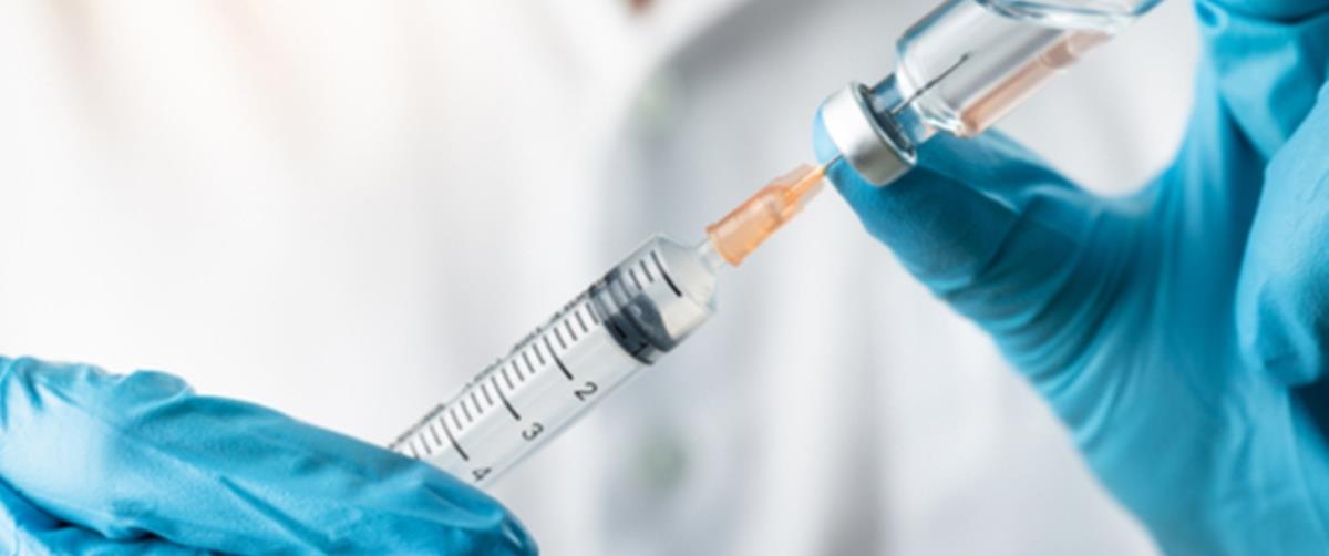 4198562622804406 shutterstock 1506051596