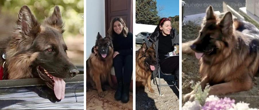 4199436997433587 ξφγψ