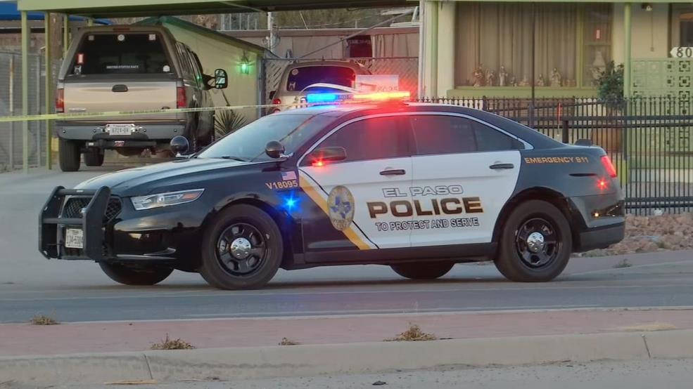 4201489442773397 image