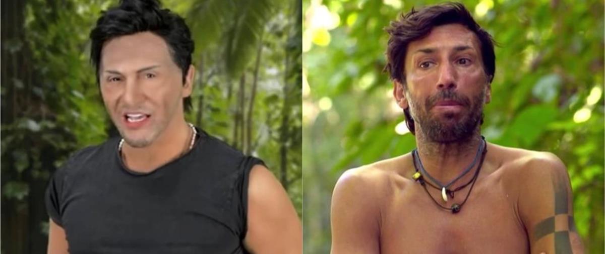 4201968438034231 cats