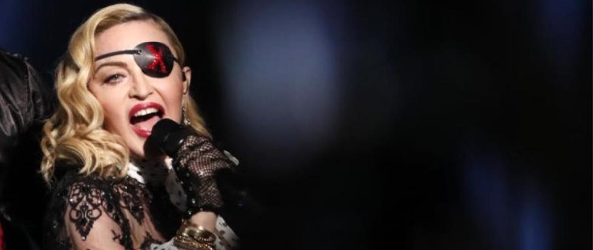 4202789778412281 cats