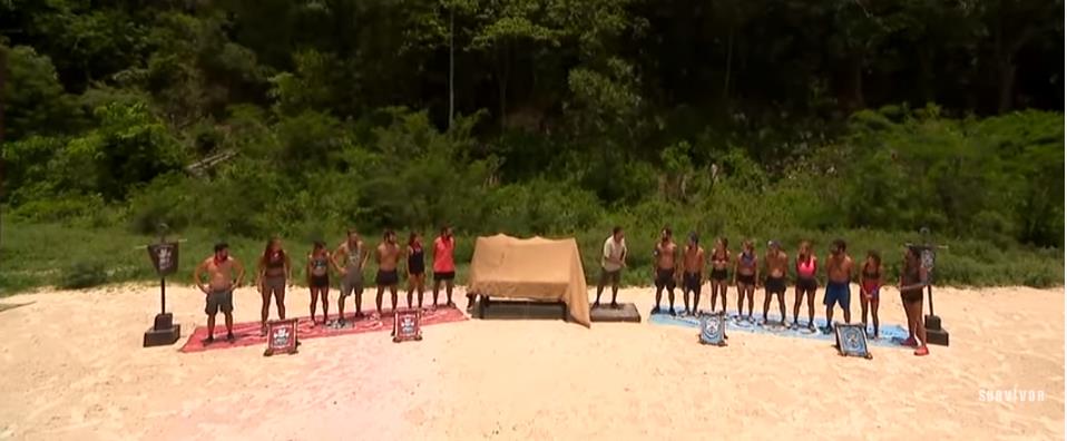 4203652055158172 image