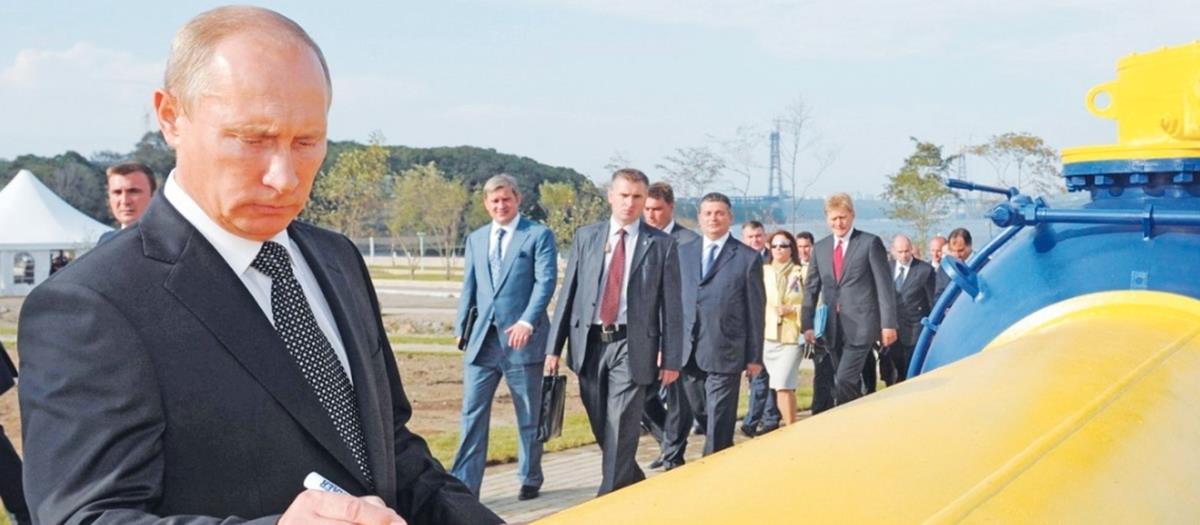 4203858940155143 256