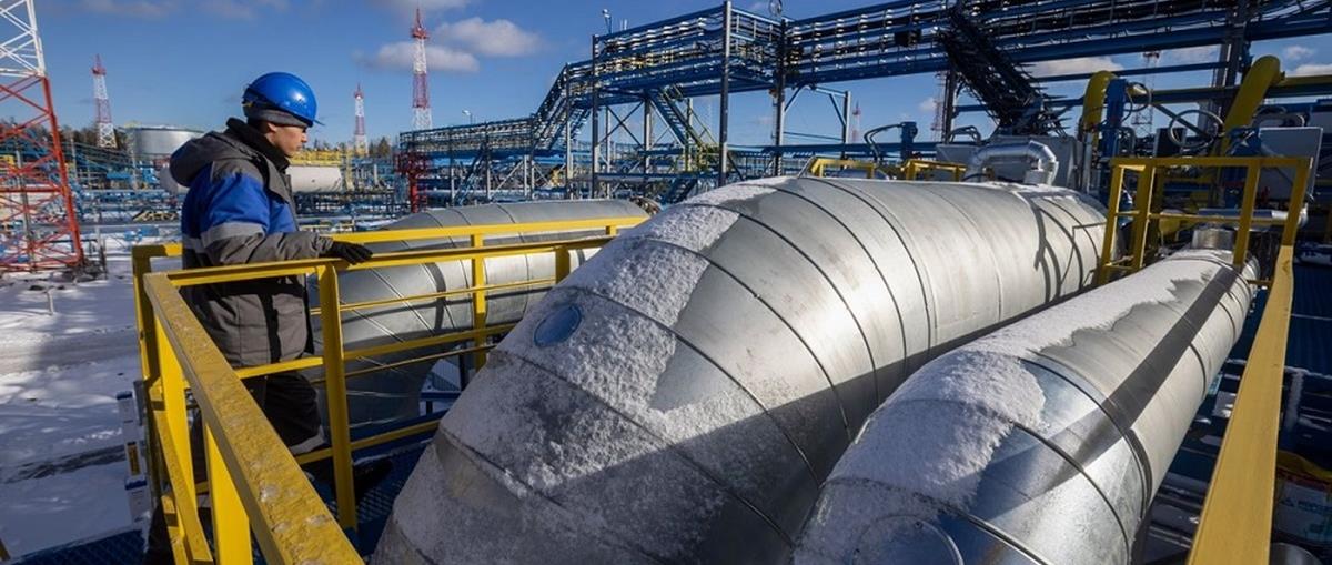 4203868541621520 517