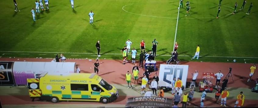 4205694250508729 image