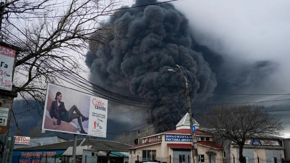 4205793091492269 image