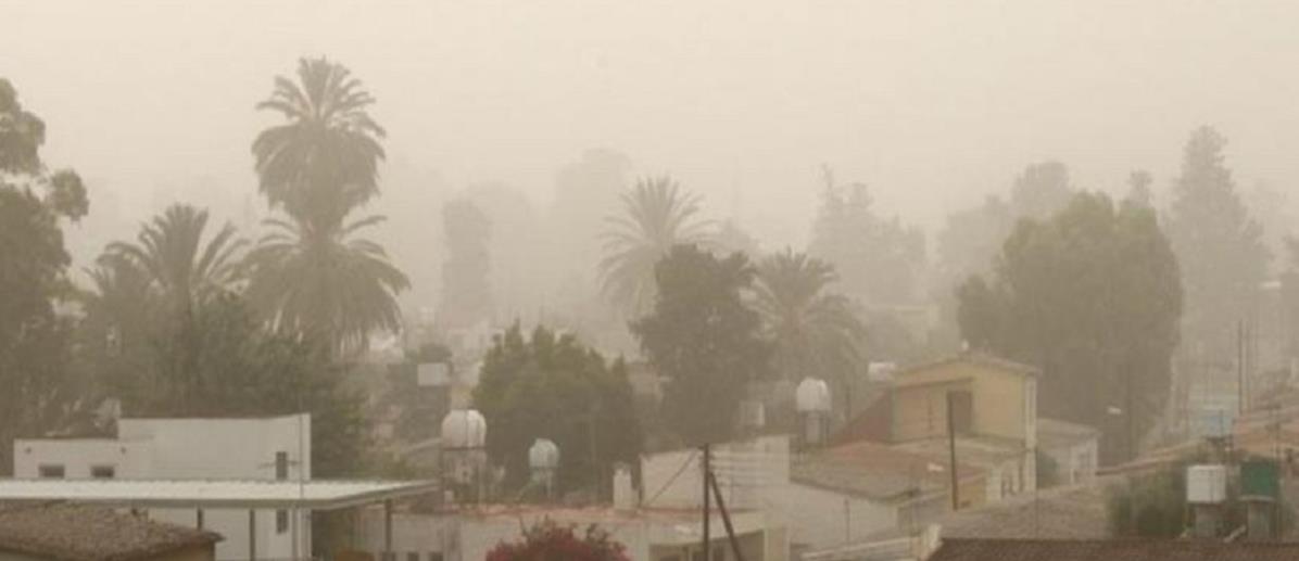 4207061480974959 cache 846x3000 Analog medium 791047 80081 2332021